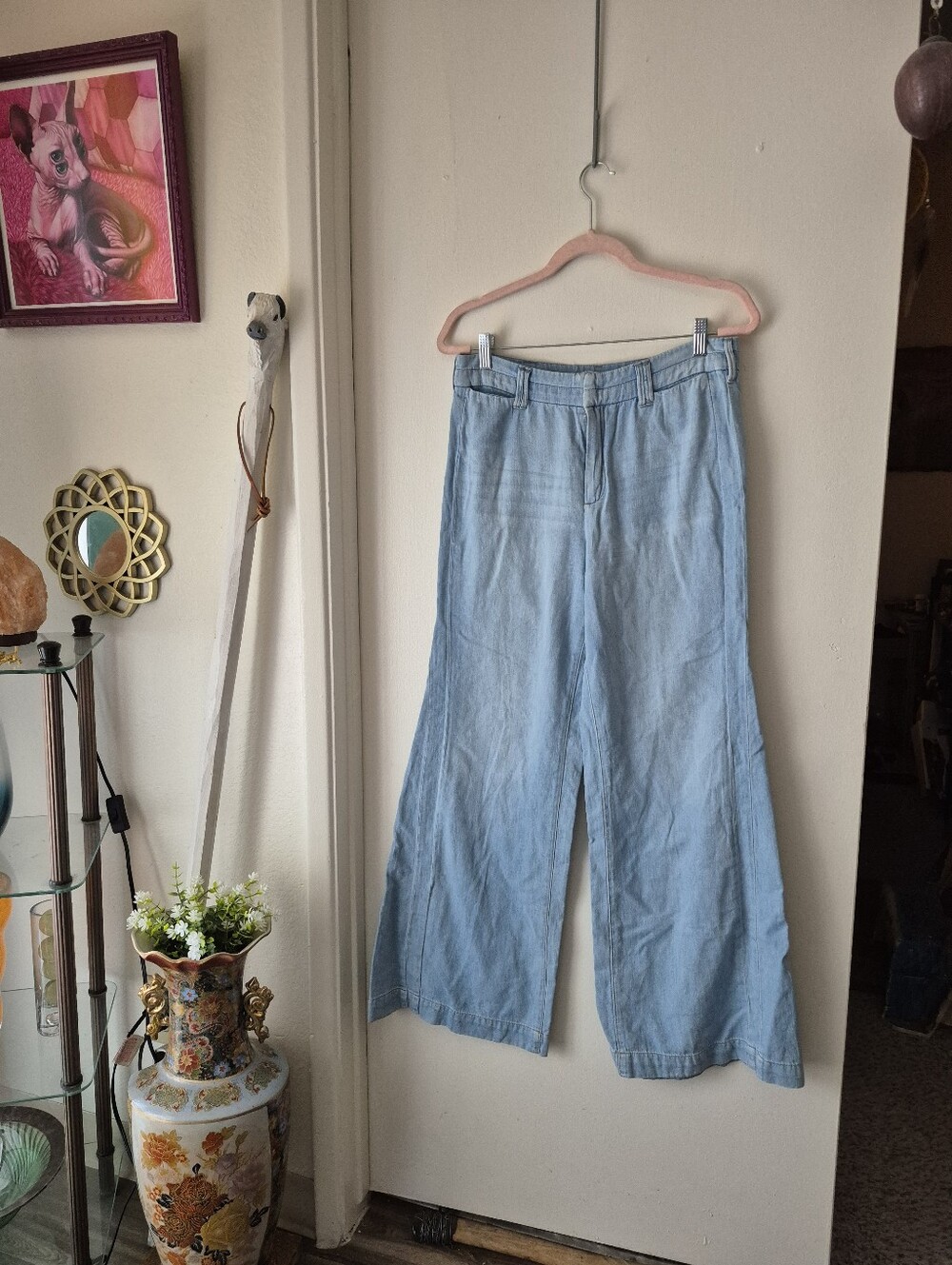 🌙Anthropologie Pilcro And The Letterpress Pants Sz 29 Jeans